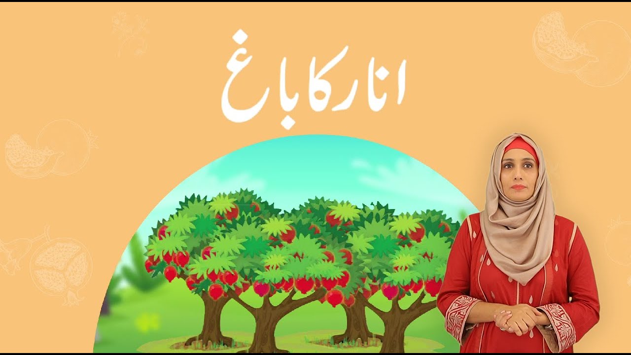 Financial Literacy Storybook | Anaar Ka Darakht in Pakistan Sign Language | Part-3