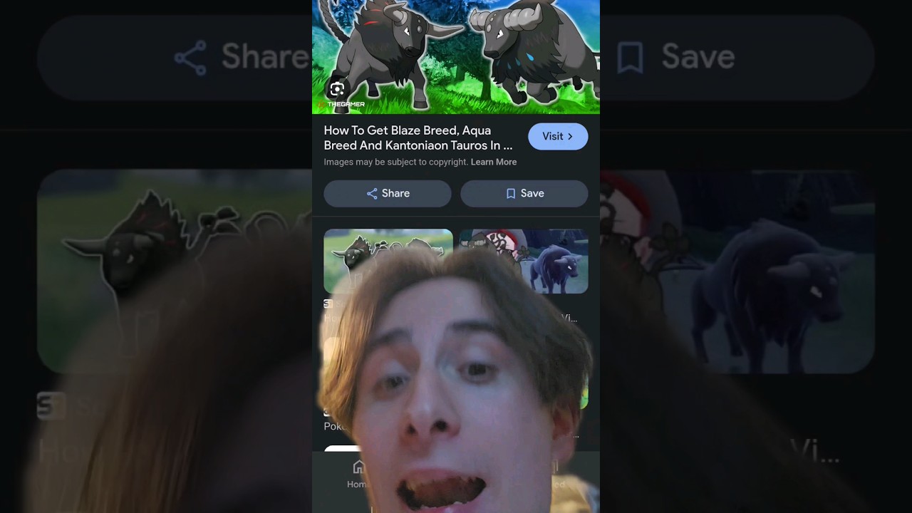 BOTH Tauros ARE POWERFUL 