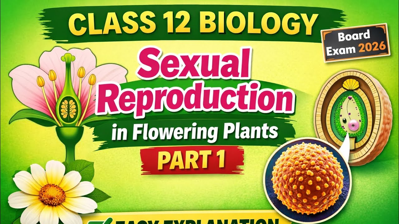 Class12 biology chapter 1! sexual reproduction in flowering plant! 12 board exam