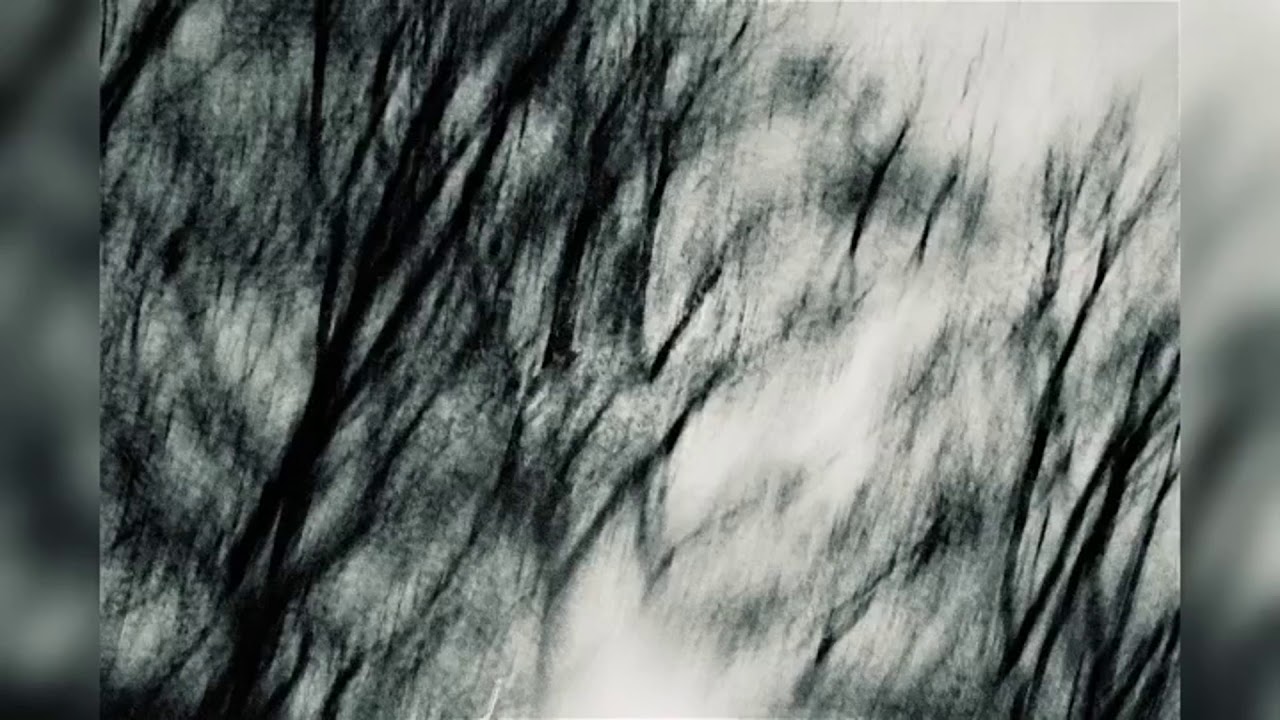 cold.world - winterreise