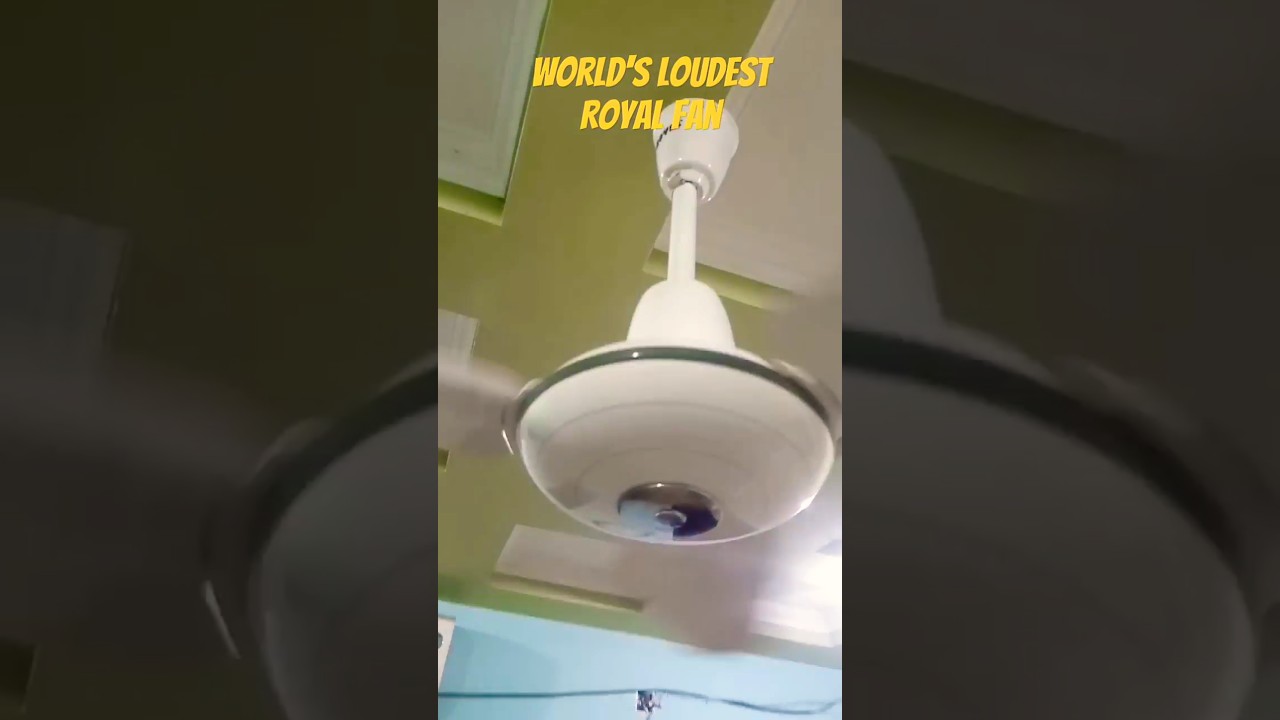 World's noisiest Royal Ceiling Fan #ceilingfan#shortsfeed #experimnent #noise