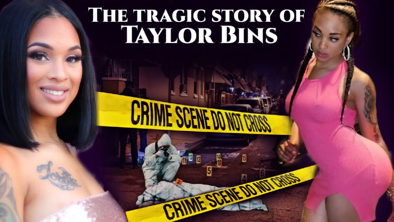 The story of Taylor Bins