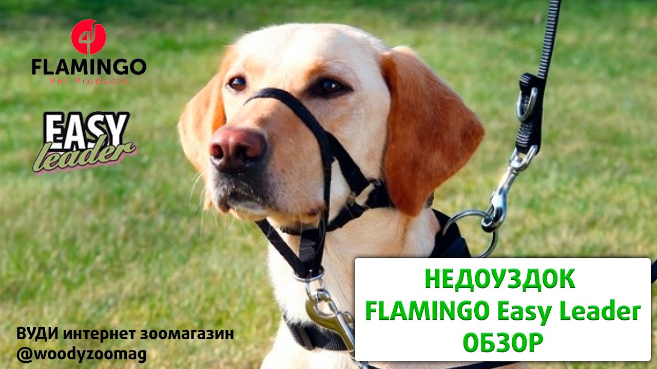 Намордник (халти, недоуздок) Flamingo Easy Leader (Фламинго Изи лидер)
