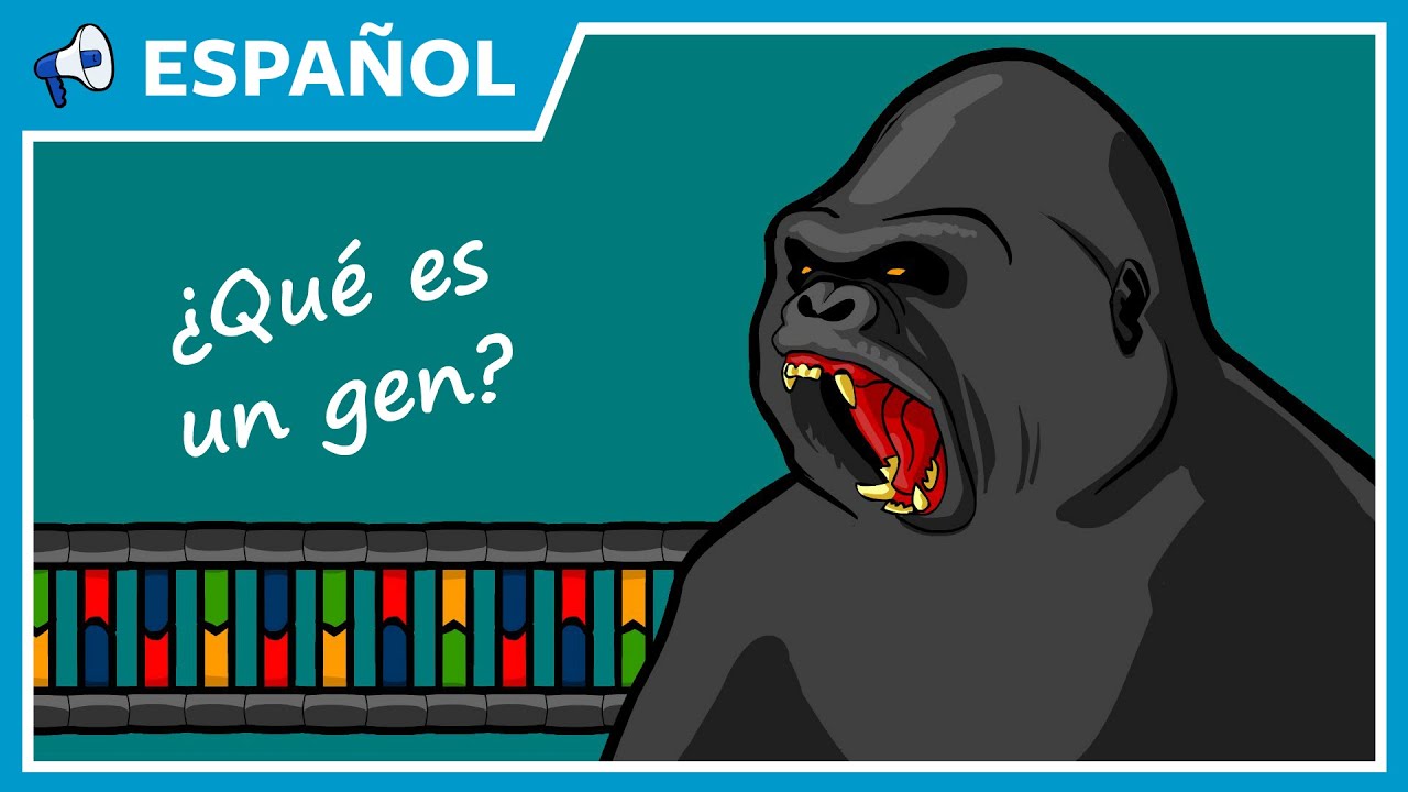 ¿Qué es exactamente un gen?