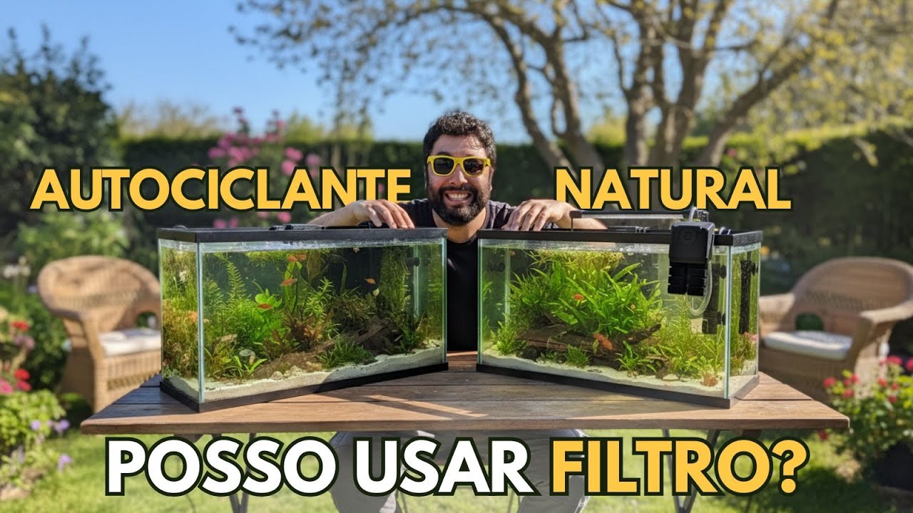 🌿 Aquário Natural com filtro? SIM, e eu te explico o porquê!