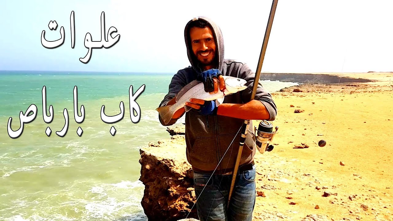 مصيد المعزة الشرغو و الدبدوب بعلوات كاب بارباص