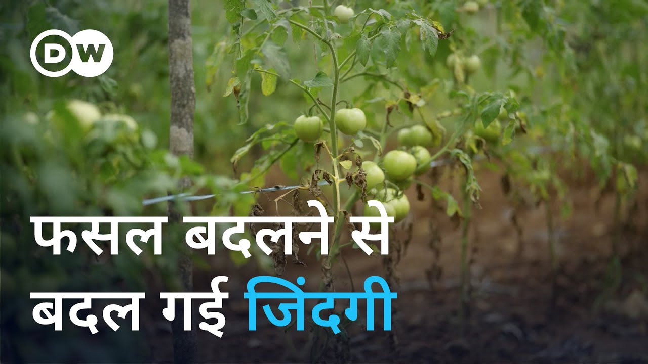 फसल बदलने से बदली जिंदगी [Tamil Nadu farmers learn to thrive despite water scarcity]