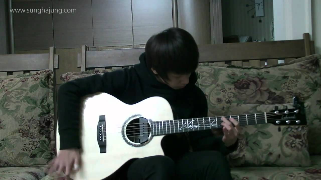 (Michael Jackson) They_Don't_Care_About_Us - Sungha Jung