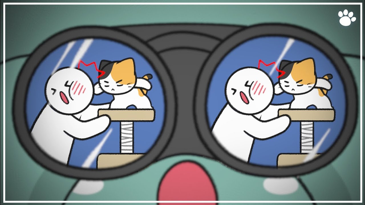 3 Behaviors Cats Show When They Look Down On Their Owner