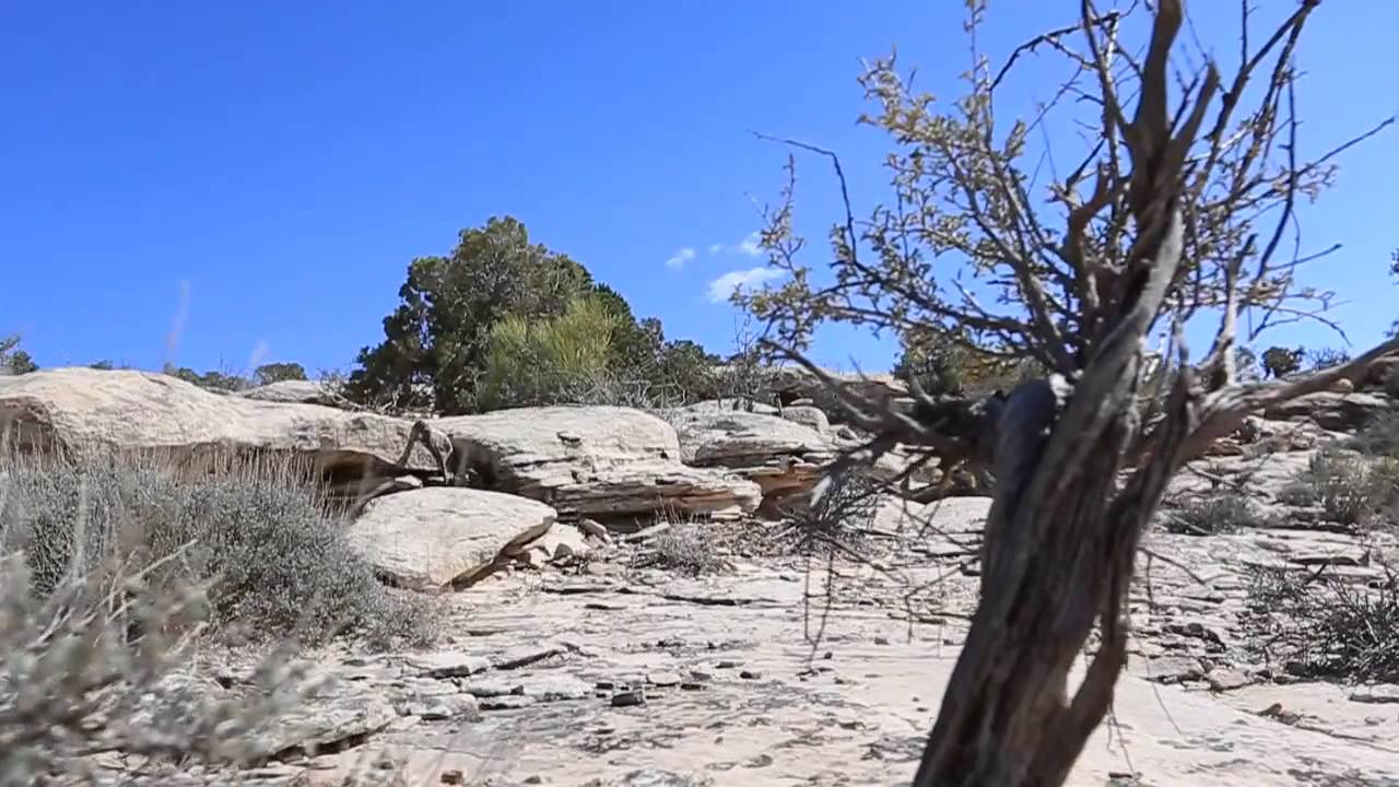 Borealis Echo- Shredding Fat Bikes in Moab, UT and Fruita, CO with the RockShox BLUTO