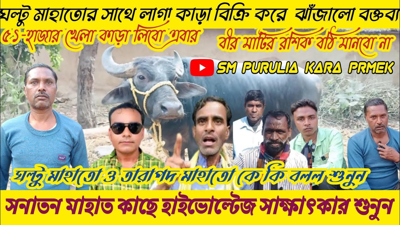 কাঁঙ্কু ঘল্টু মাহাতোর সাথে লাগা কাড়া বিক্রি করে সনাতন মাহাতর ঝাঁজালো বক্তব্য তারাপদ মাহাতোকে বলল।।