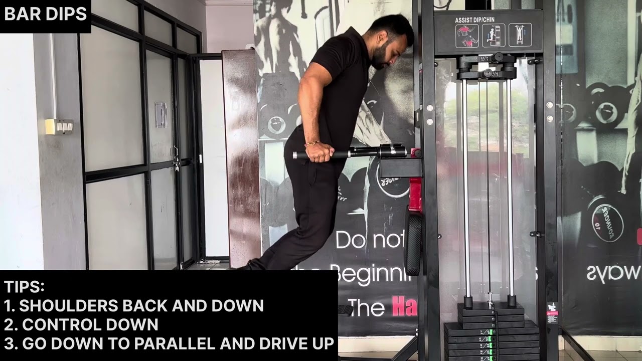 How To Bar Dips | Bar Dips #Bardips