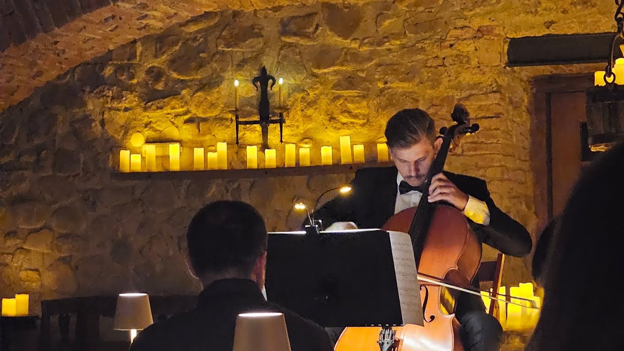 Invitații contelui la cina in Castel. O seara regală, cu muzica LIVE, la Candlelight Castel Concert