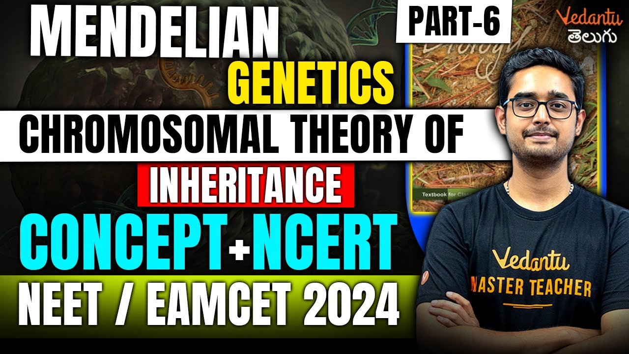 Genetics | Chromosomal Theory of Inheritance | NCERT Biology | NEET/EAMCET 2024 | Ajay Sir