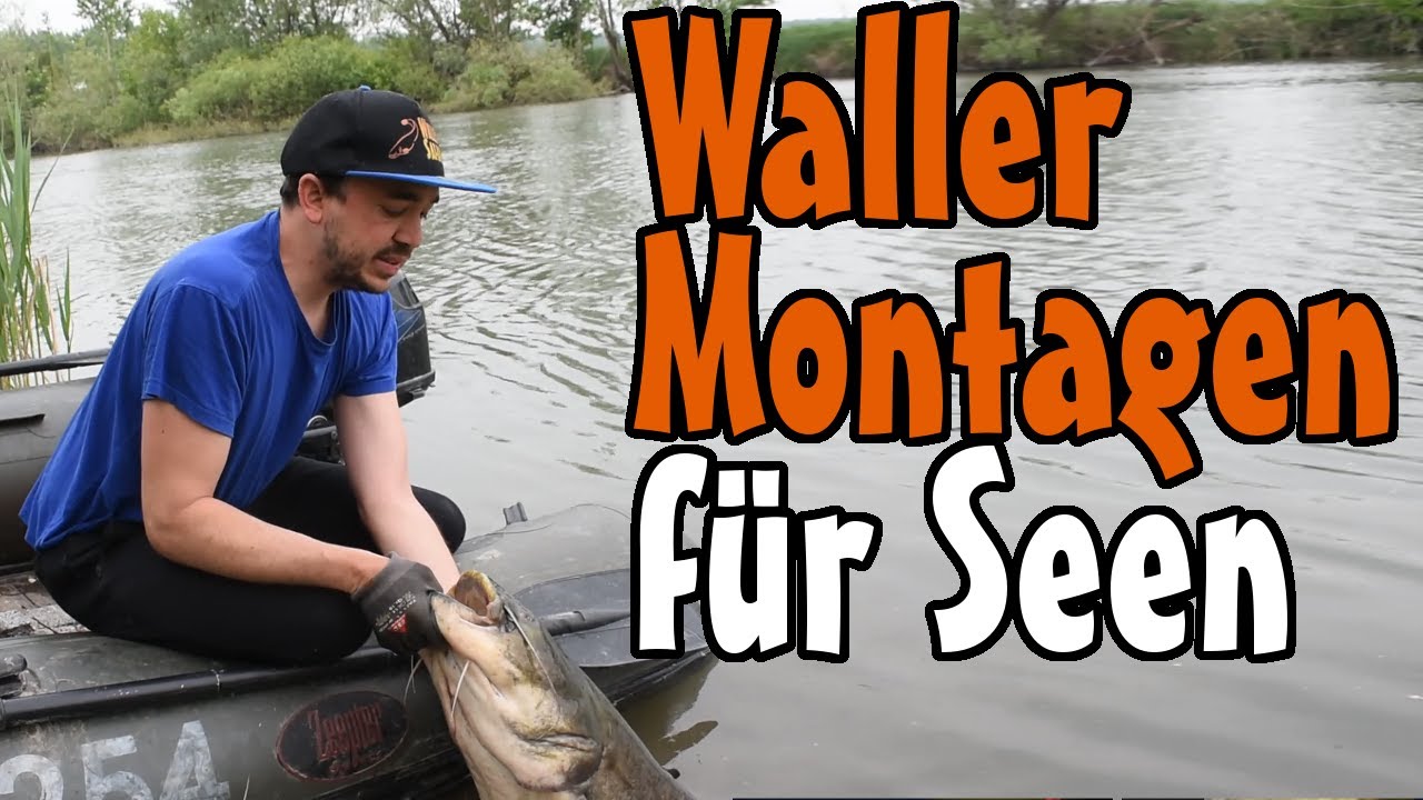 Wallermontagen am See // Welsangeln in Italien am Lago Superiore Teil 2