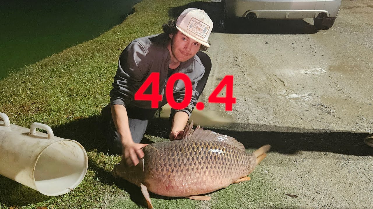 stopcking reds with fisg