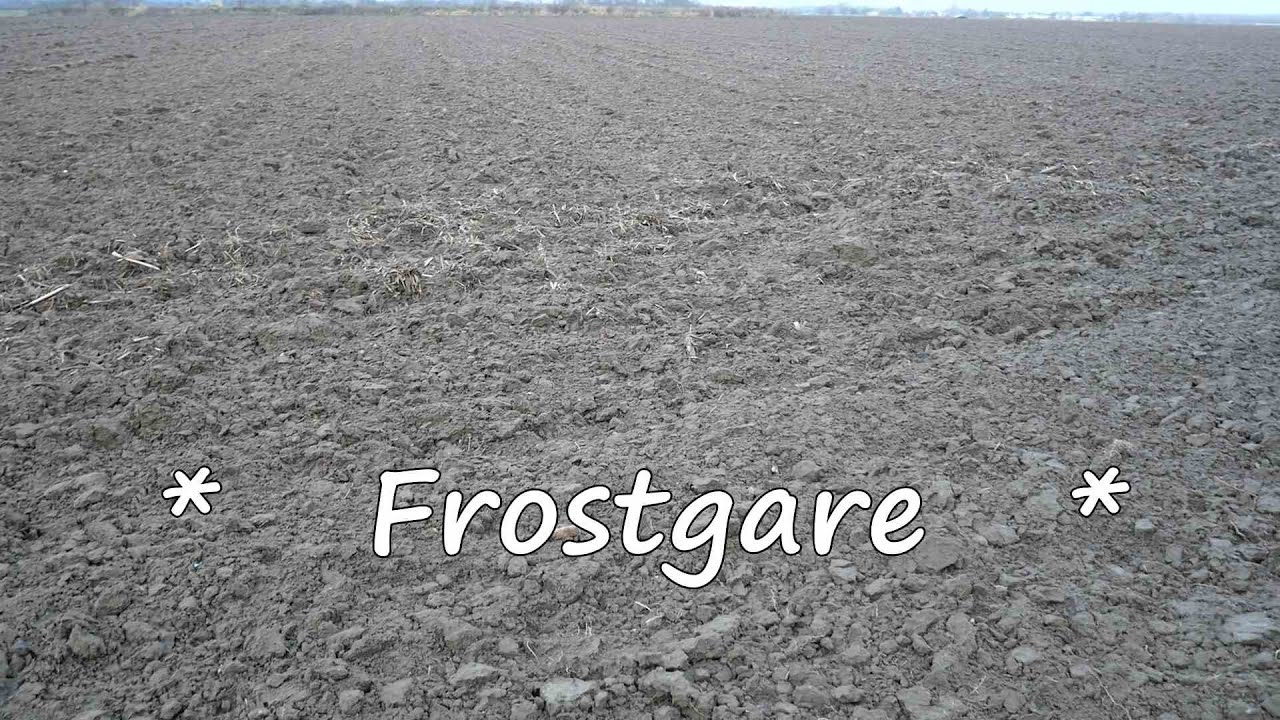 Frostgare