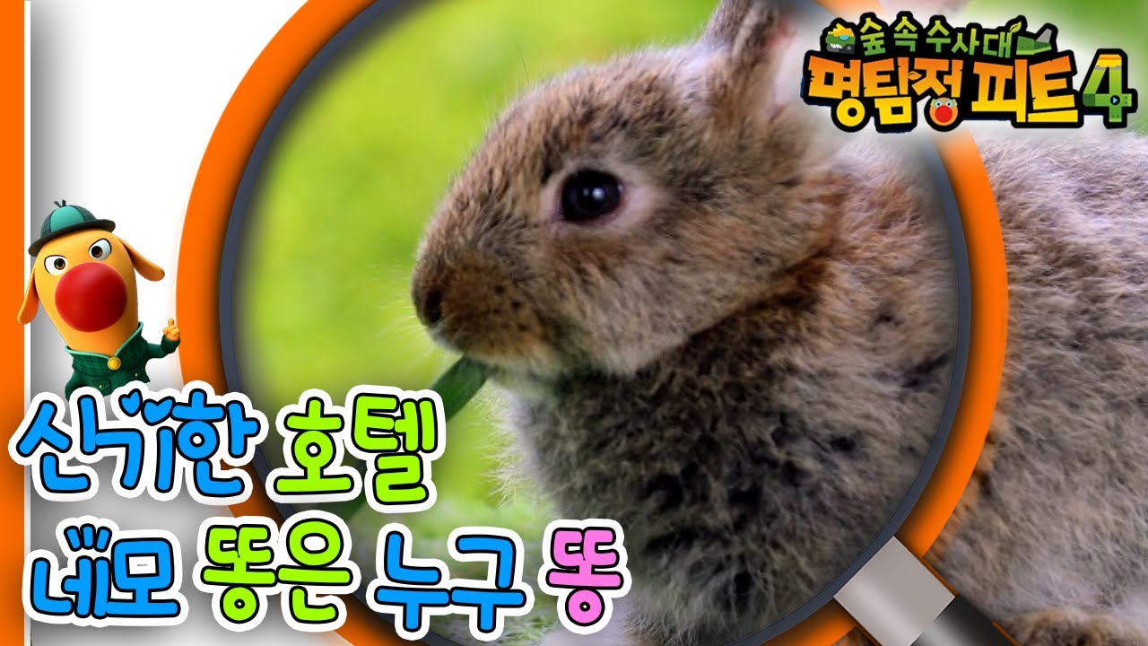 [EBS놀이터] 명탐정 피트4🔎｜신기한 호텔🏨｜네모 똥은 누구 똥💩｜숲 속 수사대｜동물｜식물｜곤충｜애니메이션