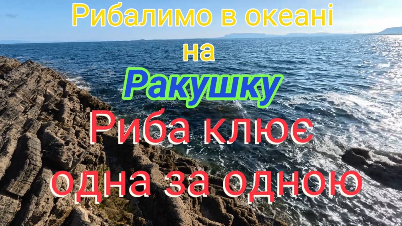Риболовля в Атлантичному океані на ракушку. Риба шаленіє від цієї наживки. Я в шоці від цієї рибалки
