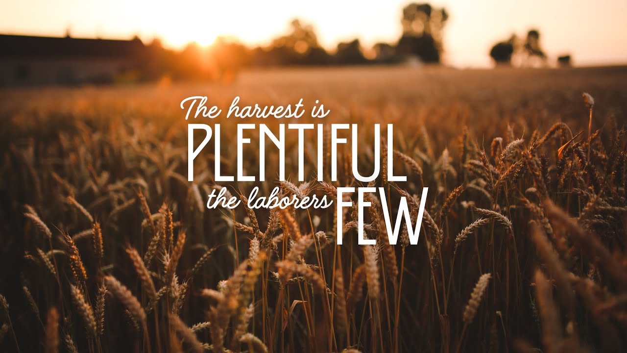 The Harvest is Plentiful, the Laborers Few  | Matthew 9:36-38