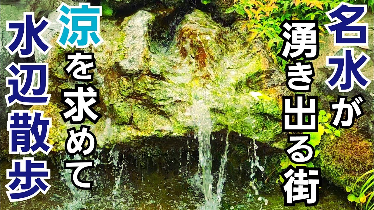 名水の湧き出る街【秦野】で涼を求めて水辺散歩！