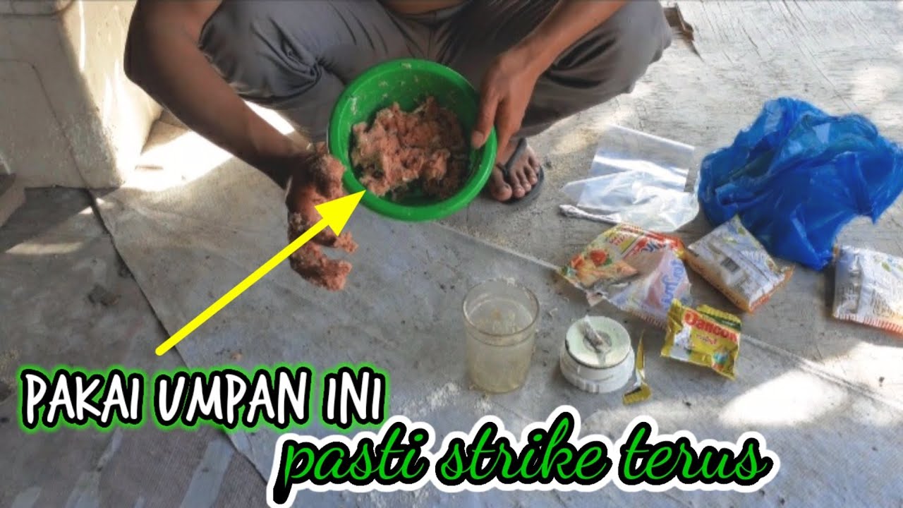 umpan galatama bahan otak lembu || langsung test || mancing galatama