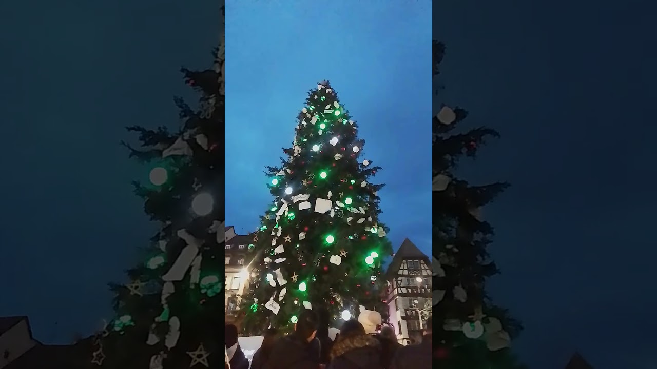 illumination du grand sapin de Noël Strasbourg capitale de Noël 2024