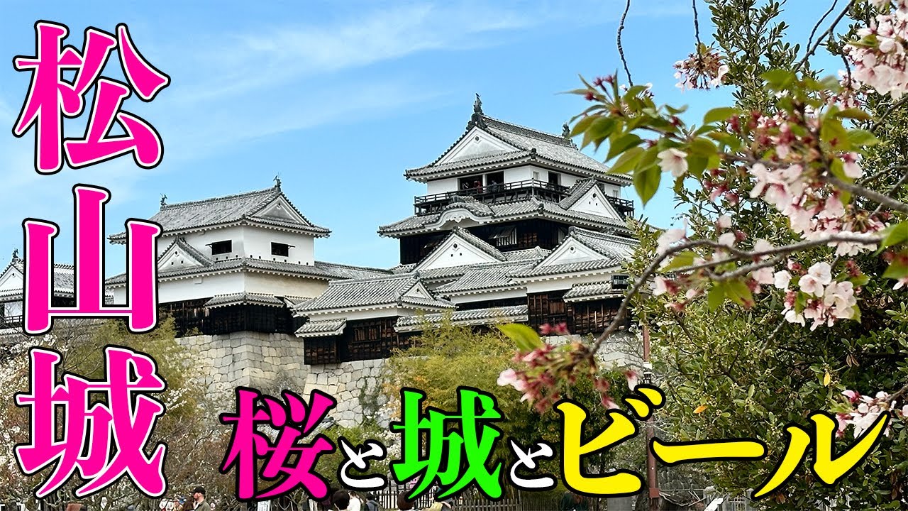 【フェリーの前にお城へ】桜咲く松山城で昼からビール！すごろくカンパニーのおーかわ君と松山を堪能【だーちーのベタ旅】