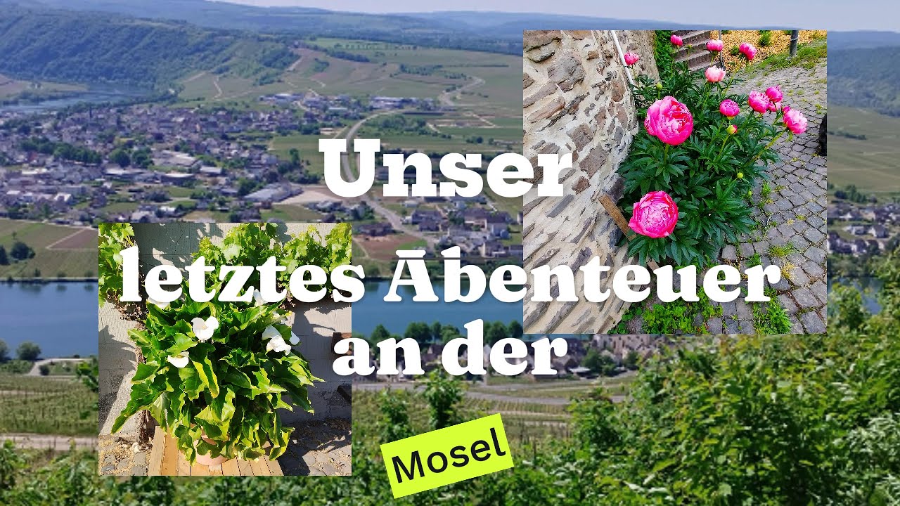 Unser letzes Abenteuer an der Mosel
