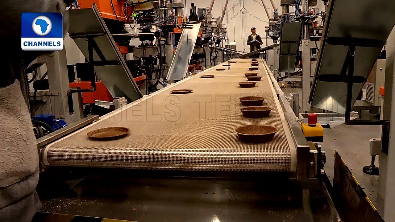 Polish Engineer Turns Wheat Bran Into Tableware And Cutlery |Eco@Africa|