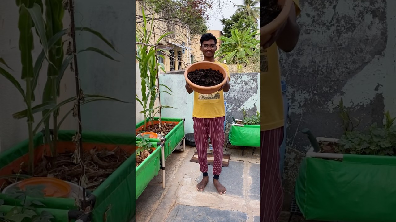How to do composting 🪴