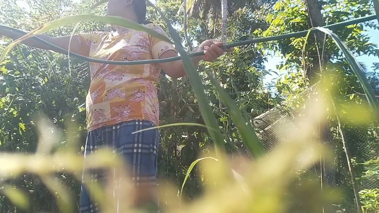 WATERING MY PLANTS #everyone #viral #viralvideos #viralvideo #highlights #garden 