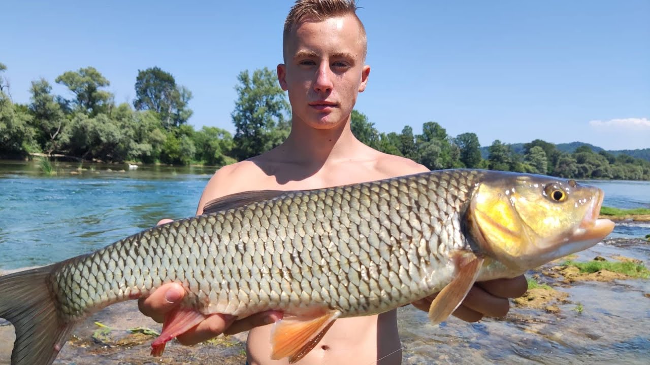 Pecanje KLENA na Unskim brzacima. Dobar primjerak na travu !!!