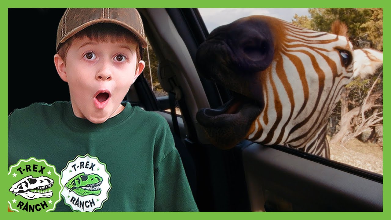 T-Rex Ranch | Animals go WILD at Adventure Park Zoo | Fun Outdoor Wildlife Activities