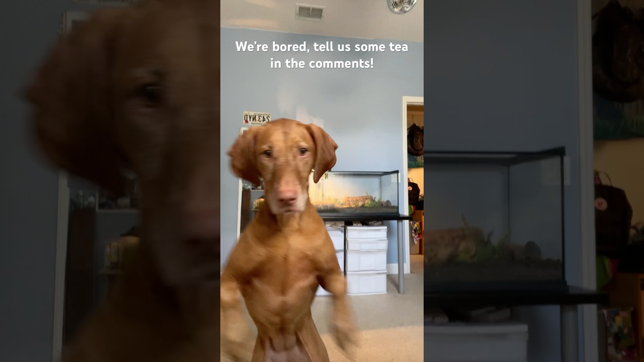 I’ll try to read all the comments! 