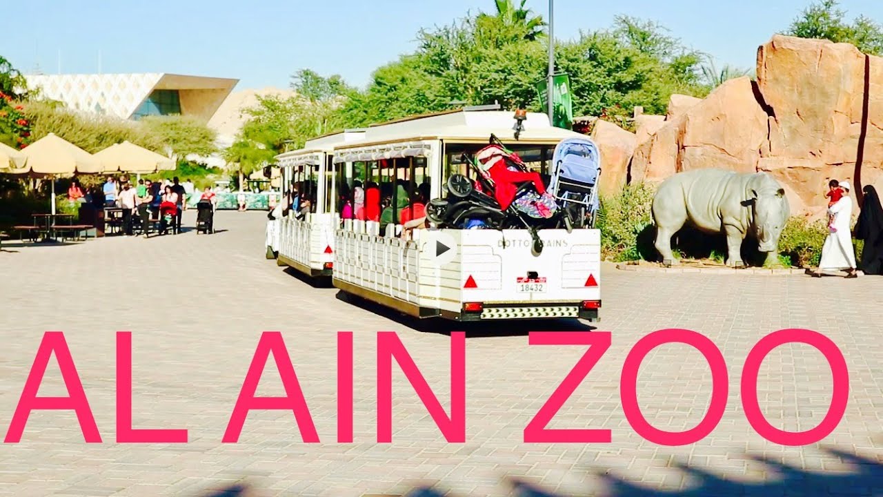 Al Ain Zoo/Al Ain Wildlife/Must Visit Place in UAE/Al Ain Zoo Highlights/Cheetah Run/Al Ain Safari