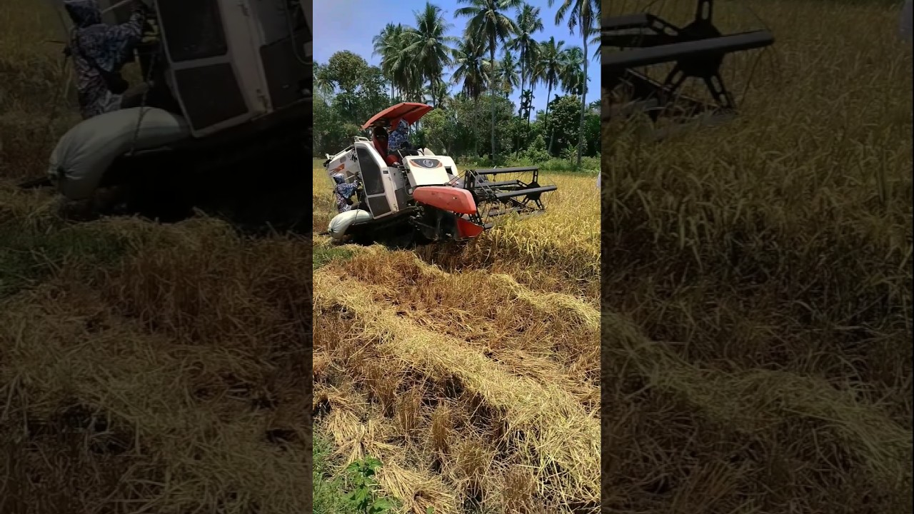 EPS 50 - Kubota DC 70 Pro rice harvester