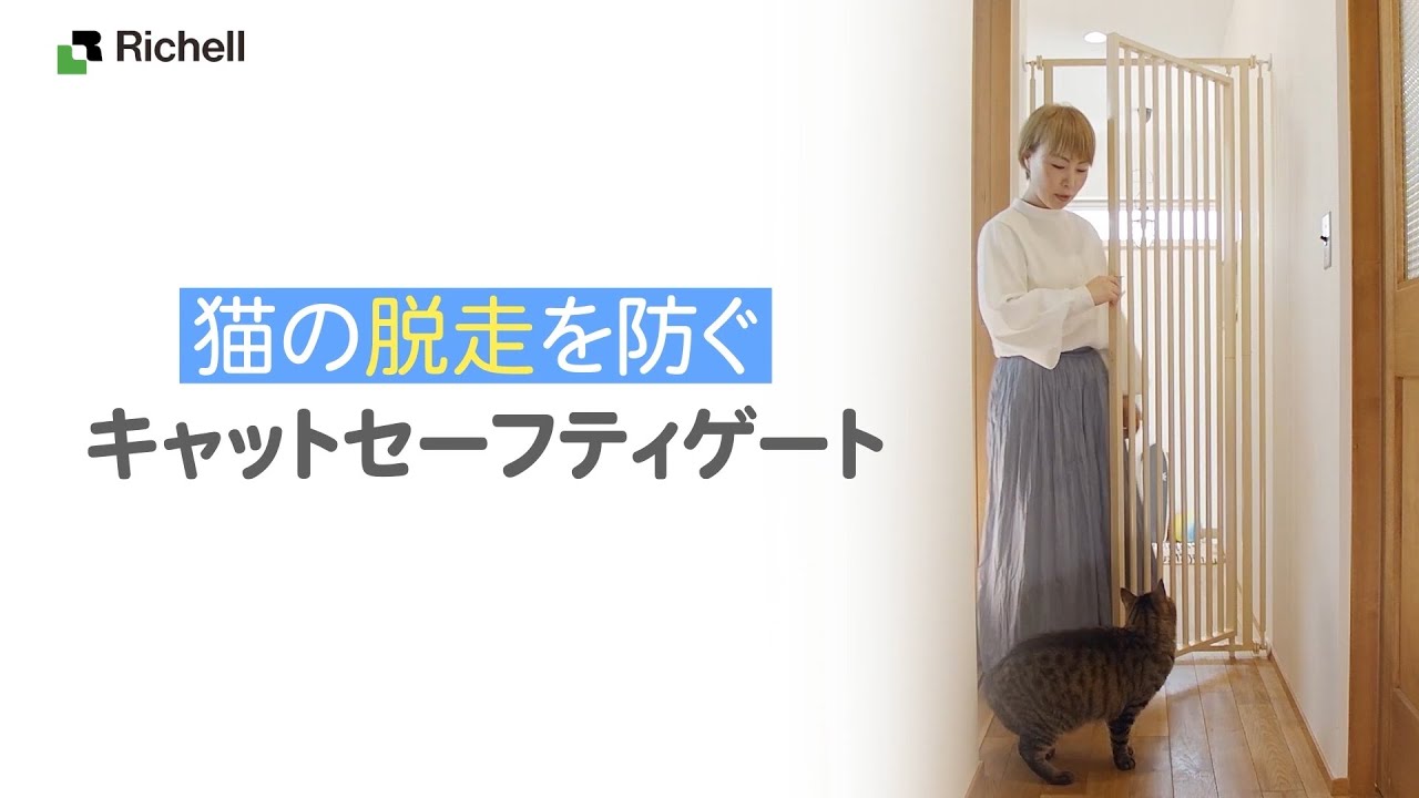 キャットセーフティゲート｜猫の脱走を防止！【リッチェル公式 ペット用品】