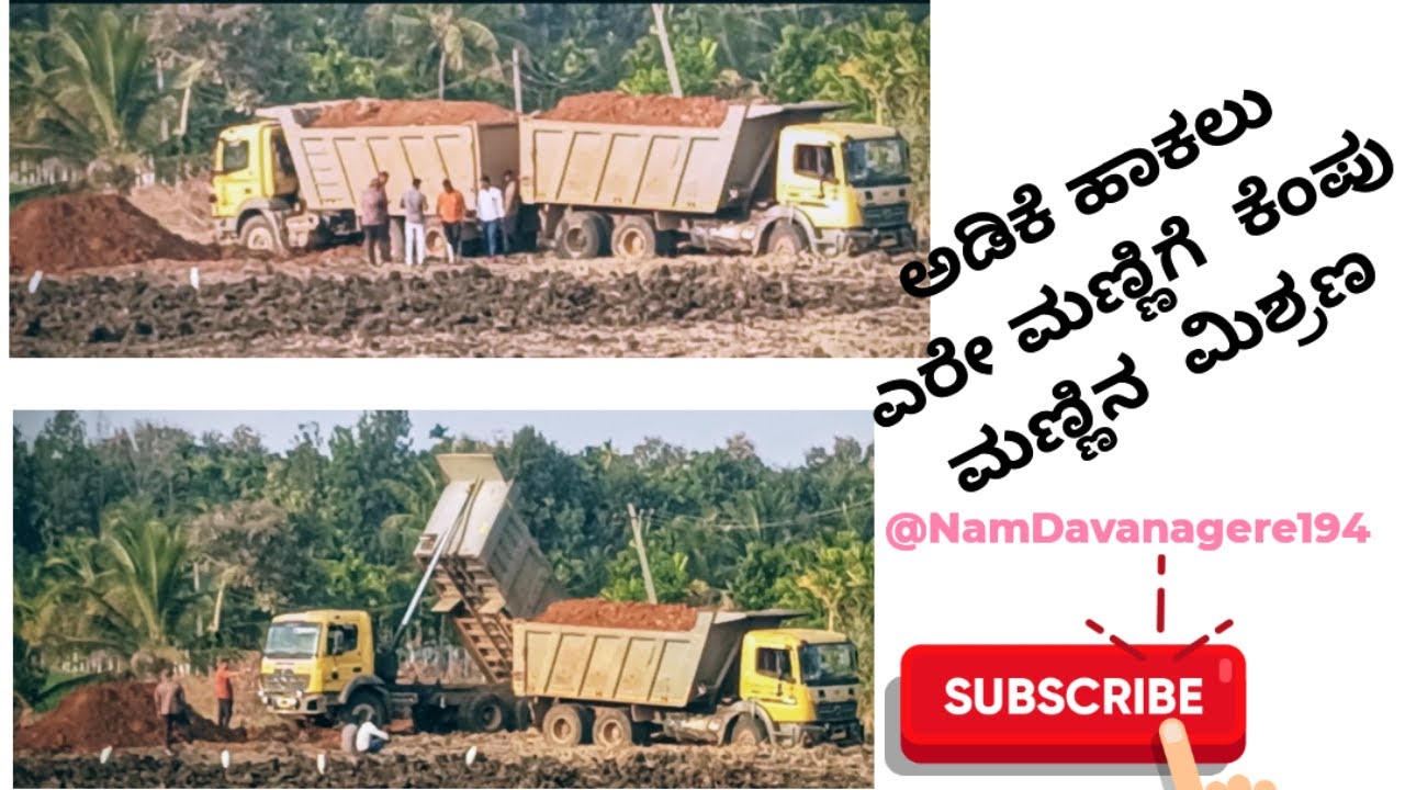 ಅಡಿಕೆ ಹಾಕಲು ಕೆಂಪು ಮಣ್ಣು ಏರುತಿರುವ ಲಾರಿಗಳು