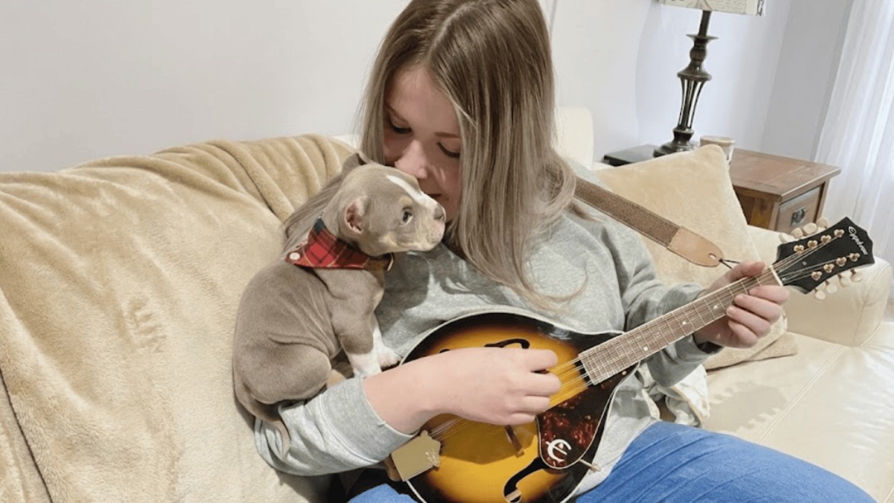 The Blind Pitbull Was Very Lonely... Until He Met His Little Blind Sister
