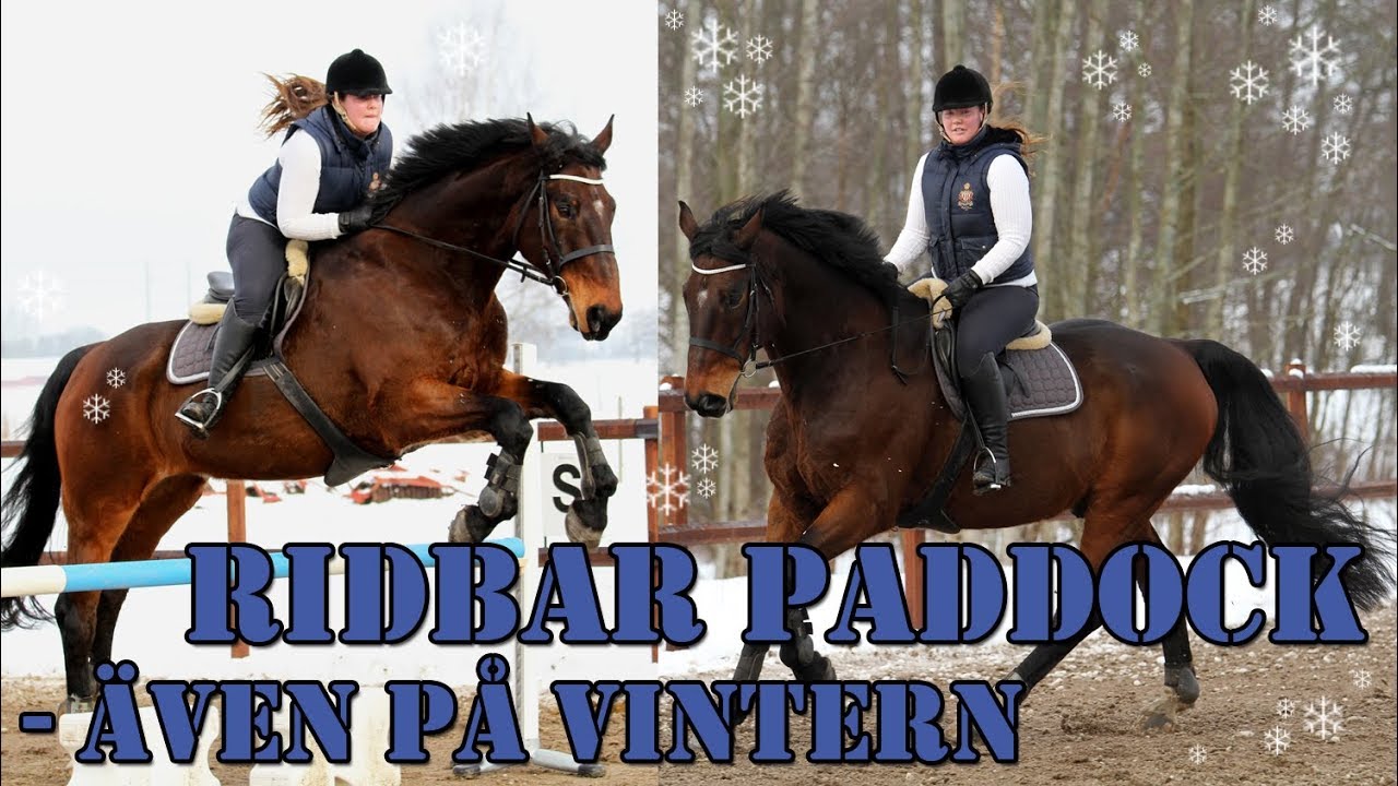 HUR DU FÅR EN RIDBAR PADDOCK ÅRET OM