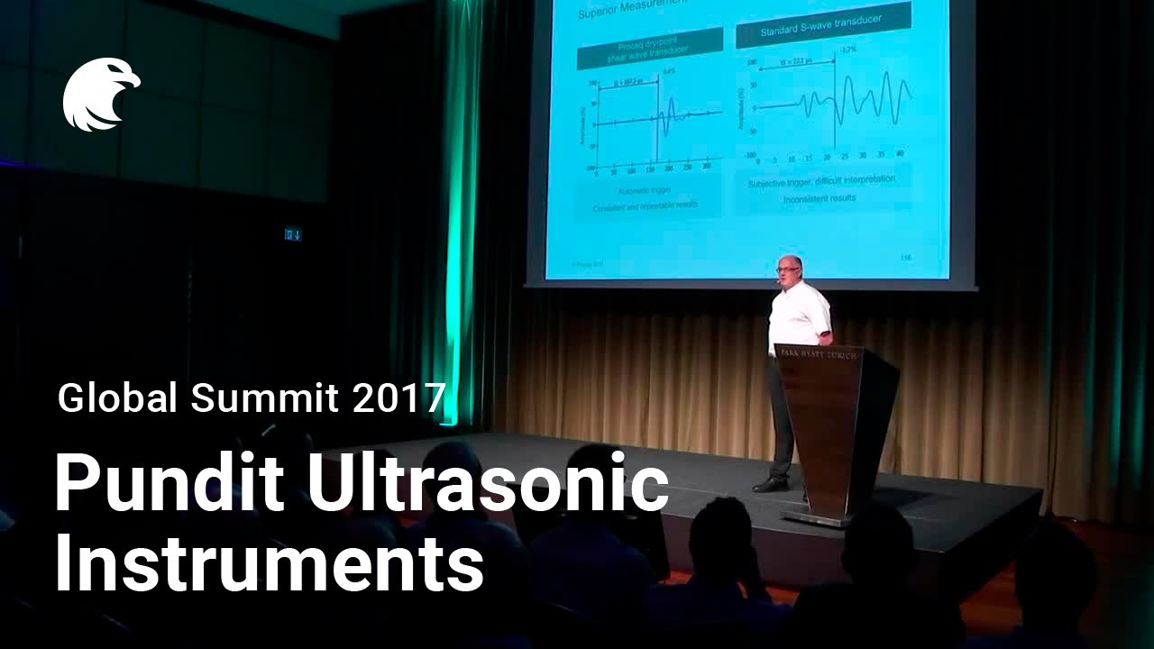 Глобальный саммит Pundit Ultrasonic Instruments I 2017