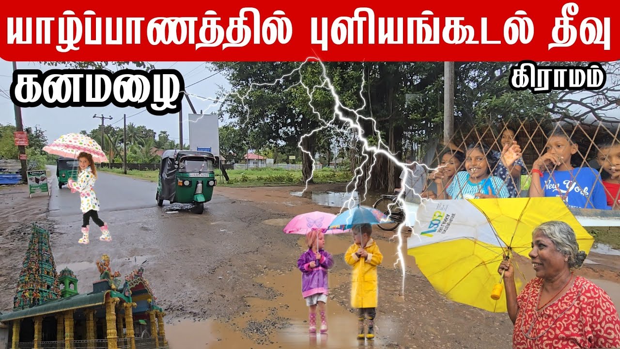 யாழ்ப்பாணத்தில் புளியங்கூடல்  தீவில் மழை Rain in Puliyangudal Island in Jaffna