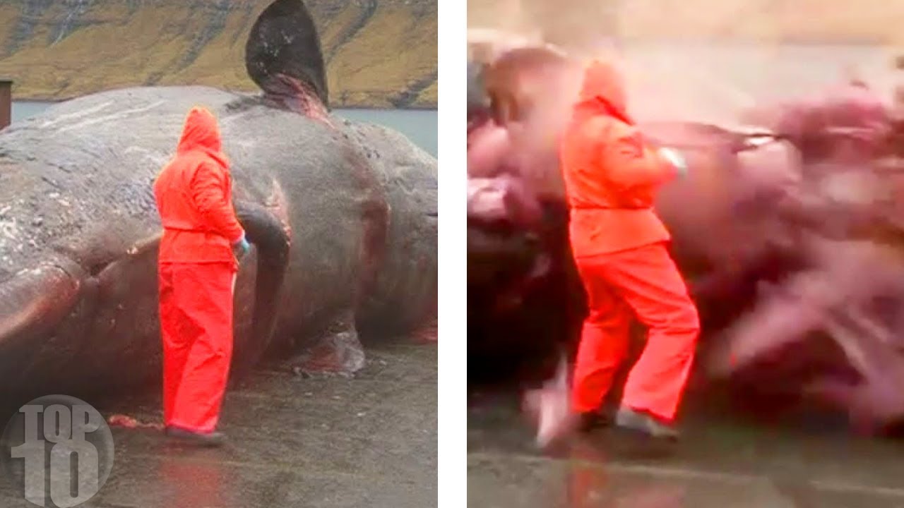 10 Dirty Jobs That Pay Well