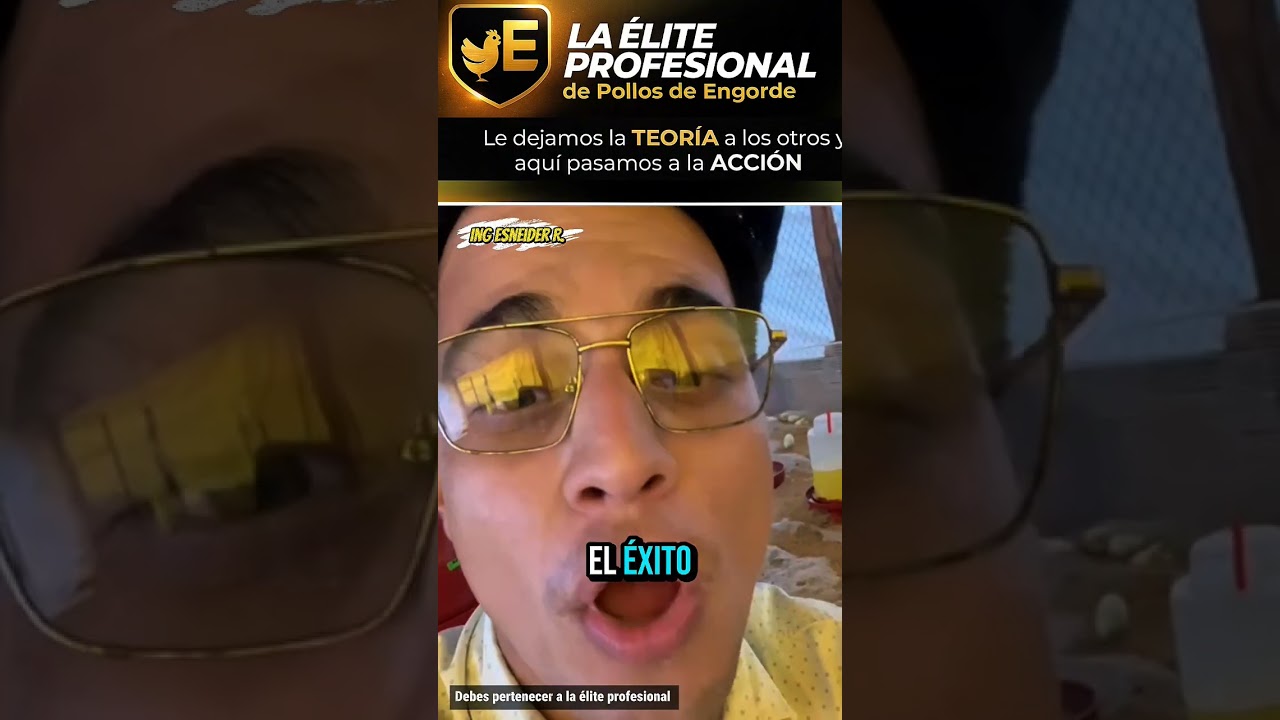 En tan solo 4 días engorda pollos de manera profesional 😎 