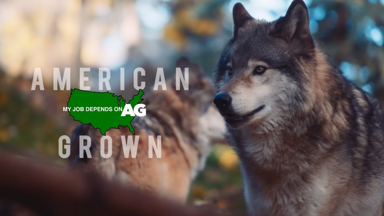 American Grown: My Job Depends on Ag | Balance on the Range Part 1