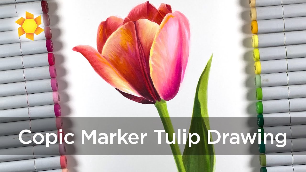 Alcohol Marker Tulip