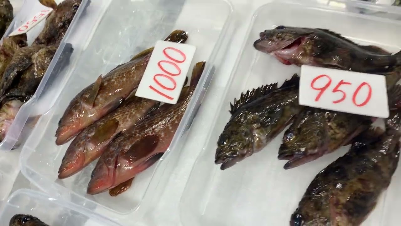 道の駅笠岡ベイファーム鮮魚コーナー3／１７