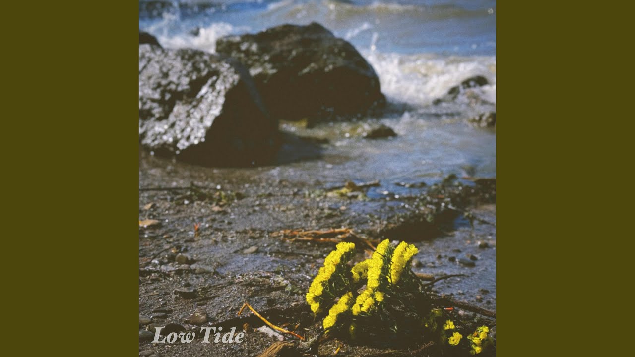 Low Tide