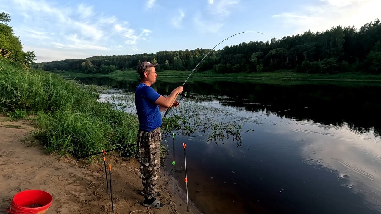 Западная Двина.Daugava.Фидер.На Рыбалку, для души!!!